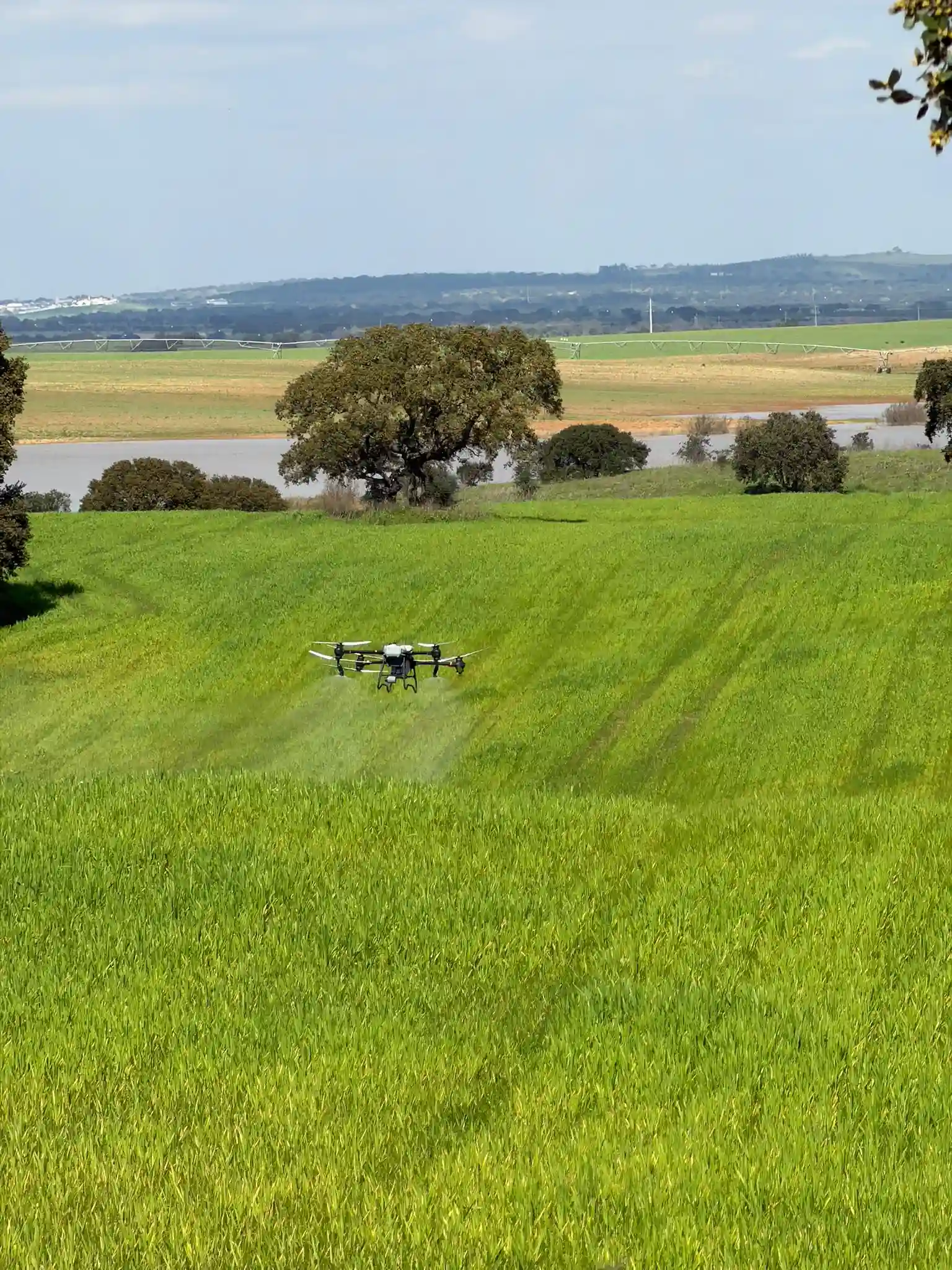 agritech_pulverizacao com drone