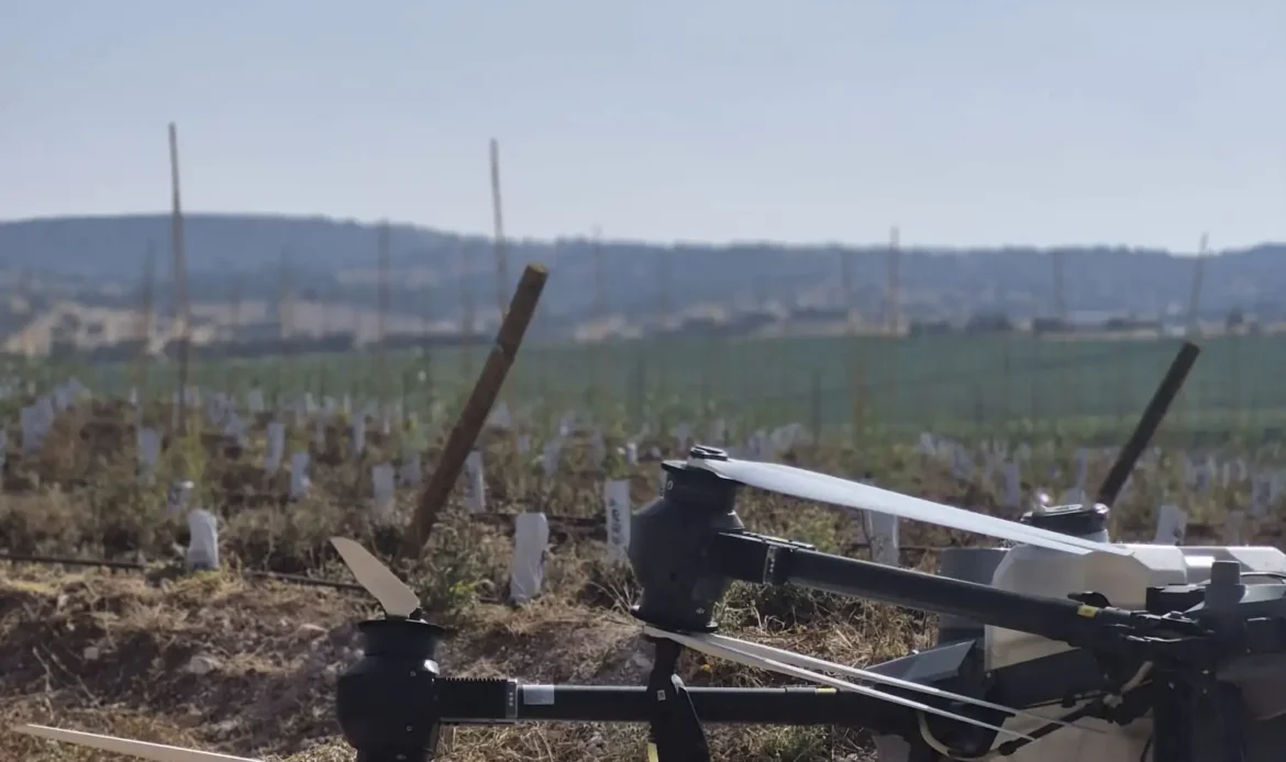 A Agritech realizou uma aplicação de nutrientes Herogra Group num olival recorrendo ao DJI Agras T100, garantindo uma distribuição uniforme, rápida e precisa.